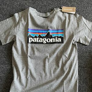 パタゴニア Tシャツ グレー patagonia プリント Tee 半袖