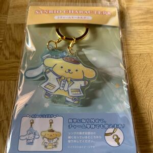  Cinnamoroll & Pom Pom Purin 2 очарование брелок для ключа кольцо для ключей Sanrio герой 