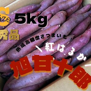 茨城県産 旭甘十郎紅はるか [特] Sサイズ 約5kg 長期熟成さつまいも