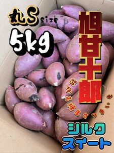 茨城県産 旭甘十郎シルクスイート [丸]Sサイズ 約5kg 長期熟成さつまいも