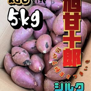 茨城県産 旭甘十郎シルクスイート [丸]Sサイズ 約5kg 長期熟成さつまいも