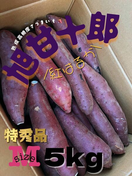 茨城県産 旭甘十郎紅はるか [特] Mサイズ 約5kg 長期熟成さつまいも※GW中の発送はお日にち1週間前後かかります