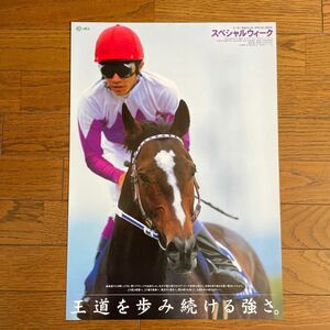 JRA ヒーロー列伝 No.46 スペシャルウィーク B3 ポスター