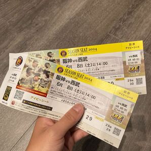 阪神vs西武 ６月８日土曜日 14時 2枚 アイビーシート甲子園 阪神甲子園球場 ラーメン祭の画像1