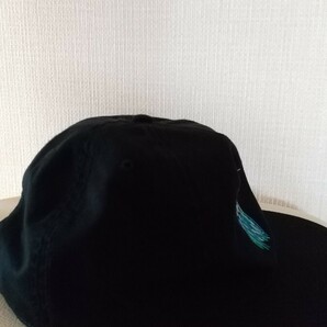 Dinosaur Jr キャップ ブラック スナップバック SNAPBACK BLKの画像2