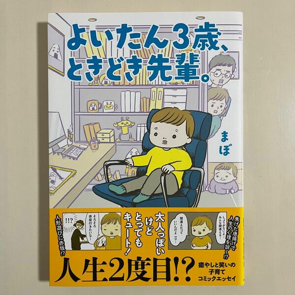 【帯付き】 よいたん3歳、ときどき先輩。