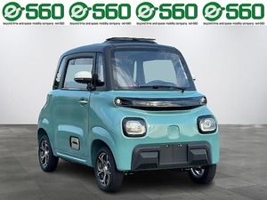 MINI MINI XENON01 　AMI?アミー? EVミニカー 0.59Kw