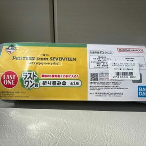 SEVENTEEN一番くじ PetiTEENラスワン賞 折り畳み傘