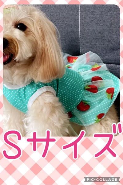 ◇わんにゃん服◇いちご柄ワンピース