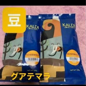 KALDI カルディ グアテマラ　豆　コーヒー豆　珈琲豆　珈琲 コーヒー カルディコーヒーファーム カルディコーヒー　2点