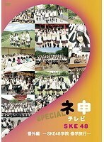 【中古】ネ申テレビ SPECIAL 番外編 SKE48学院 修学旅行 b49771【レンタル専用DVD】