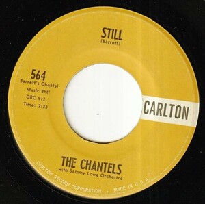 The Chantels with Sammy Lowe Orchestra - Still / Well, I Told You (A) OL-P198