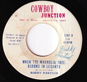 Buddy Pastuck - I'm Leaving Lecanto / When The Magnolia Tree Blooms In Lecanto (C) FC-Q241