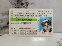 なめ猫 免許証 　当時物　又吉　どら吉　ニャン太郎　猫八　4枚セット_画像2