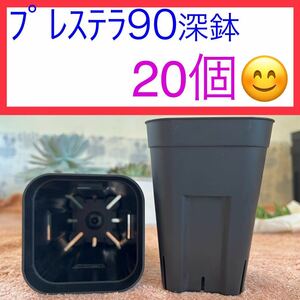 D⑩ 【プレステラ90 深鉢】ブラック 20個セット★