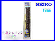 [ネコポス送料180円] 19mm こげ茶 DXG9 セイコー 牛革シュリンク時計バンド 新品未使用正規品_画像3