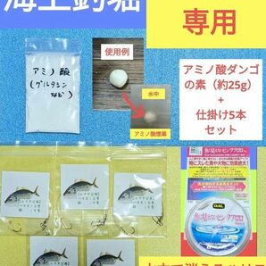 【 海上釣堀 シマアジ専用 】アミノ酸+水中で消えるハリス使用　仕掛けセット