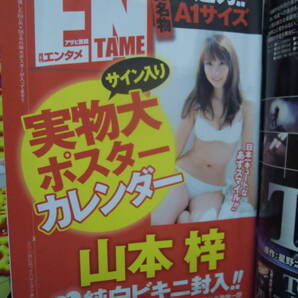 X-10 雑誌 アサヒ芸能 月刊エンタメ ２００９年１２月 付録付き 山本梓 手島優 秋山莉奈 西田麻衣 磯山さやかの画像4