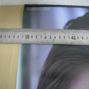 「6043/I4C」カレンダー 田中麗奈 2001年 女優 現状品の画像5