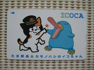 JR西日本　「ICOCA」　たま駅長＆カモノハシのイコちゃん記念デザインカード　台紙付き　デポジットのみ