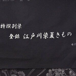 【ほりだし堂】 夏物 江戸川染（東京染） 縦絽 浴衣 シックな植物 黒色 ゆかた 反物 4/16～4/23の画像6