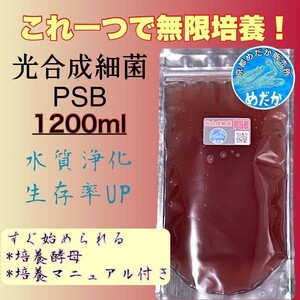 ★無限培養★光合成細菌PSB 1200ml 水質浄化　生存率UP　メダカ　めだか　卵　金魚　らんちゅう　熱帯魚　稚魚　針子 ミジンコ ゾウリムシ