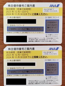 【送料無料】ANA株主優待券 2枚(2023.12.1-2024.11.30迄)