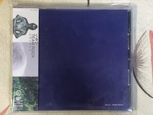 ★非売品CD　kururi/くるり「TEAM ROCK」 見本盤 　promo only レア盤　japan mint sample
