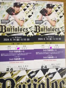 6月１４日（金）オリックス対ヤクルト　１８時京セラ ライト外野下段年間シート２枚　通路側からの３、４席め（横は壁）