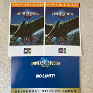 USJ ユニバーサルスタジオジャパン　チケット2枚　2025.3.20まで