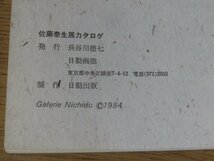 【図録】佐藤泰生展 日動画廊 1984_画像2