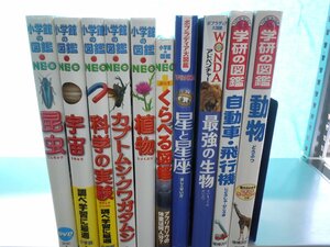 【図鑑】《まとめて10点セット》小学館の図鑑NEO/ポプラディア/学研の図鑑/くらべる図鑑/昆虫/科学の実験/動物/星と星座 他