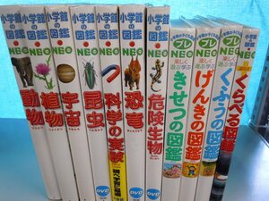 【図鑑】《まとめて11点セット》小学館の図鑑NEO/プレNEO/くらべる図鑑/くふうの図鑑/昆虫/恐竜/危険生物/科学の実験 他