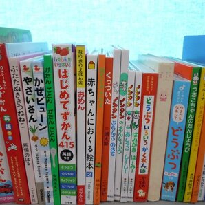 【赤ちゃん向け絵本】《まとめて42点セット》こぐまちゃんえほん/ノンタン/ブルーナ/だるまさんが/やさいさん/きんぎょがにげた 他の画像3