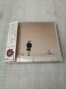 原田知世 / カコ CD　コレクション整理