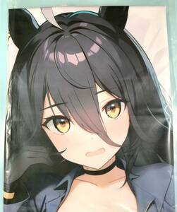  Circle regular goods . small . horse . Manhattan Cafe Dakimakura cover special version 