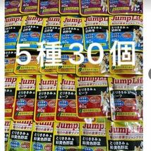 いなば　ジャンプライフ　40g 5種30個　パウチ　レトルト Jump Life 乳酸菌　キトサン　犬　グルコサミン 国産_画像1