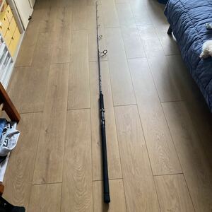  Daiwa saltiga J66MH