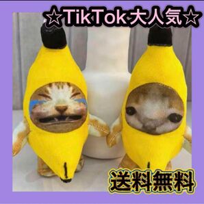 大人気 バナナキャット　バナナ猫　bananacat キーホルダー　泣いてる猫