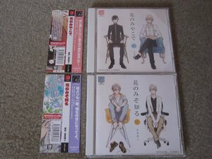 CD6760-宝井理人 花のみやこで　花のみぞ知る　まとめて　２枚　セット