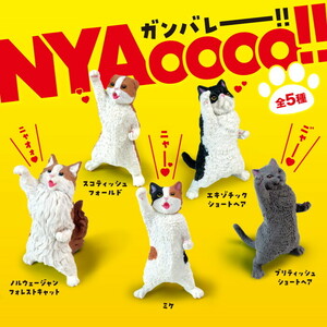 【全5種セット(フルコンプ)】NYAoooo！！　ガチャガチャ　定形外郵便送料無料　【ラッピング不可商品です】