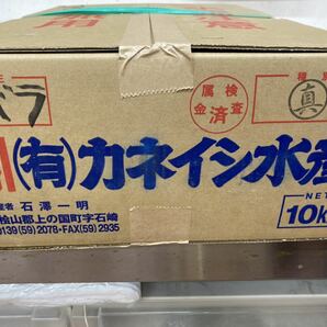 数量限定 10枚入 約350g前後 国内産干しスルメイカ 珍味 おつまみ 魚介類 干物 ジャーキー あたりめ 焼酎 日本酒 ビール の画像8