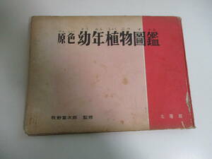 30か2679す　原色　幼年植物図鑑　図鑑の北隆館　監修：牧野富太郎　昭和30年　カバー欠(裸本)　書込み多数、ヤケシミ汚れ、擦れ破れ等傷み