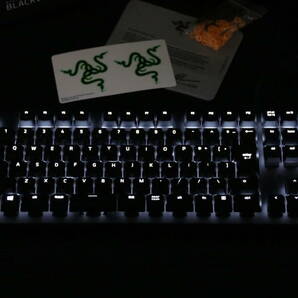 【動作OK】Razer BlackWidow Lite JP Orange Switch RZ03-02640700-R3J1【送料無料】の画像5