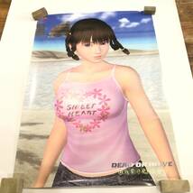 △DEAD OR ALIVE デットオアアライブ レイファン ポスター B2サイズ ゲーム キャラクター 中古品△C73270_画像1