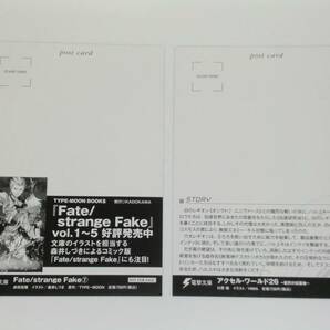Fate アクセル・ワールド 豚のレバーは加熱しろ ユア・フォルマ ヘヴィーオブジェクト ☆ ポストカード ☆ イラストカード 電撃文庫の画像3