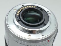 608■極上品■ PANASONIC ルミックス G X VARIO PZ 45-175mm/F4.0-5.6 ASPH./POWER O.I.S. シルバー H-PS45175-S 　_画像9