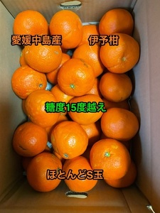 全国送料無料　伊予柑S玉は温州みかんLサイズ　箱込み5kg みかんより高糖度！　家庭用いよかん伊予柑　愛媛中島産83