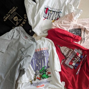 90s ヴィンテージ　Tシャツ　まとめ売り　シングルステッチ　USA製多数　　フルーツオブザルーム　M L XL　ベール　卸　4