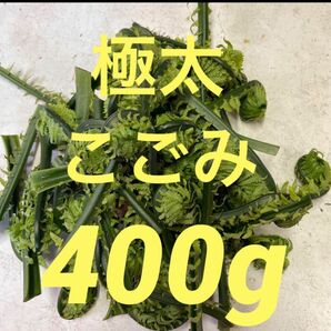 こごみ　ネコポスいっぱい400g